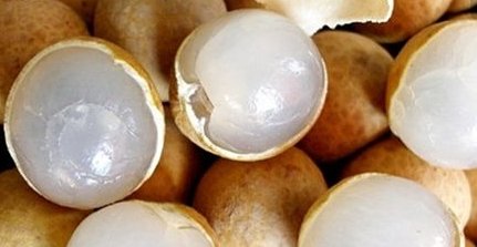 桂圆的食用方法有哪些