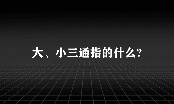 大、小三通指的什么?