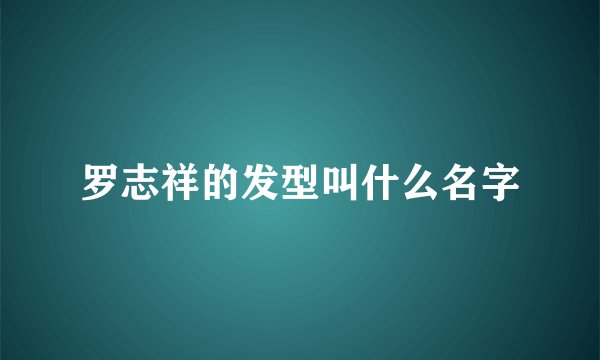 罗志祥的发型叫什么名字