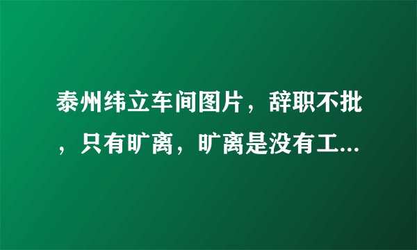 泰州纬立车间图片，辞职不批，只有旷离，旷离是没有工资的，我们线上好多因各种原因没办法而选择旷离，有