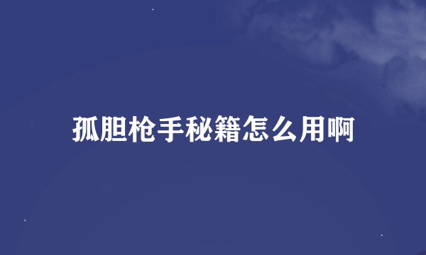 孤胆枪手秘籍怎么用啊