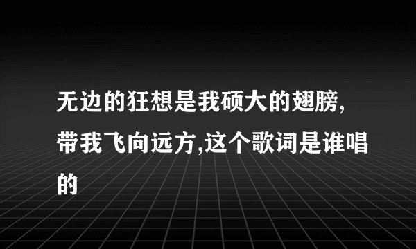 无边的狂想是我硕大的翅膀,带我飞向远方,这个歌词是谁唱的