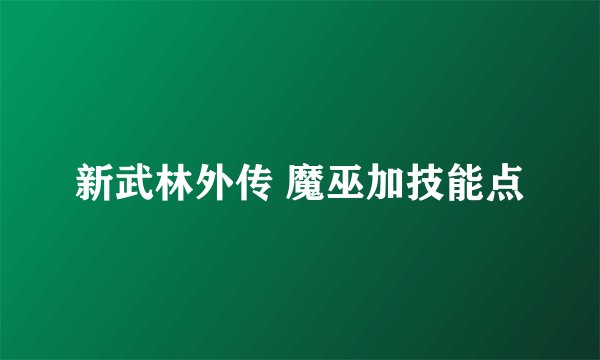 新武林外传 魔巫加技能点