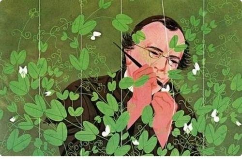 孟德尔遗传定律是什么？