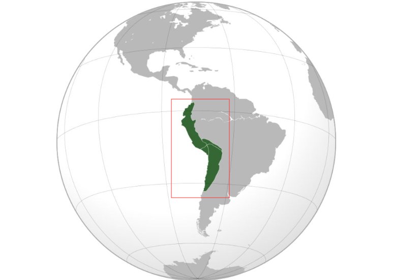 什么叫印加帝国？