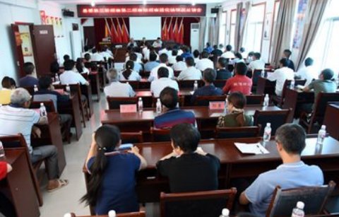 反馈是什么意思