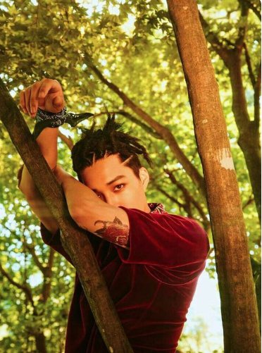 exo的所有队员简介详细