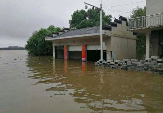 江西洪涝灾害已致550万人受灾，直接经济损失多少？