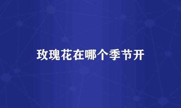 玫瑰花在哪个季节开