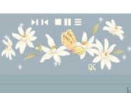 QQ空间免费播放器有哪些啊？