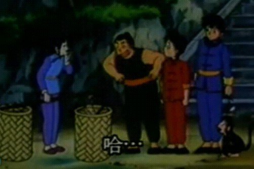 求小时候看的一部动画片名字，关于功夫方面的