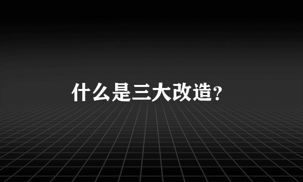什么是三大改造？