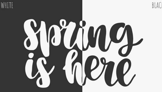 家人的英文翻译