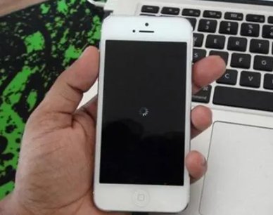 我的苹果手机突然黑屏了没反应了怎么办