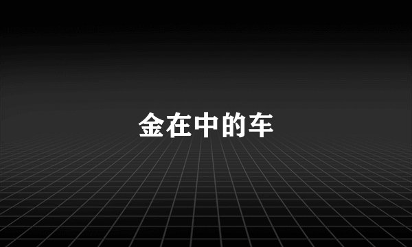 金在中的车