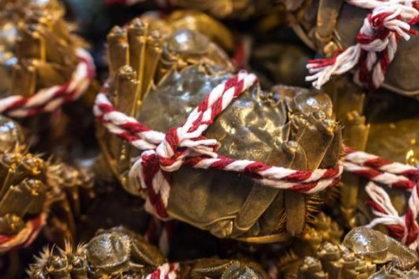 上海特产有哪些