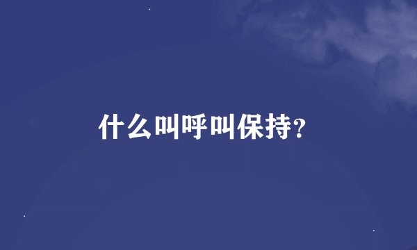 什么叫呼叫保持？