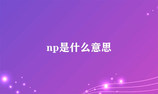 np是什么意思