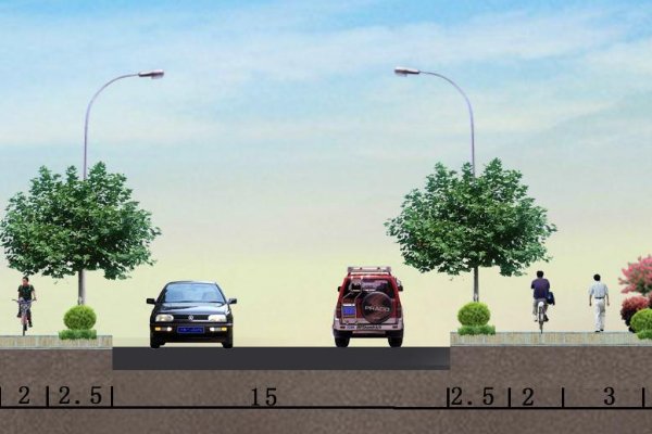 横断面是什么意思？