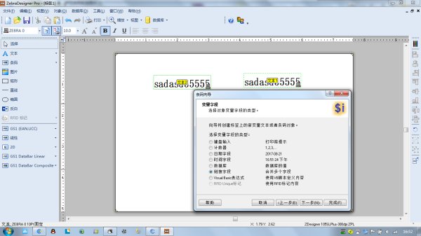 ZebraDesigner Pro注册码