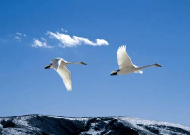 远大志向是什么意思