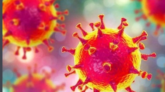 新冠肺炎英语是？