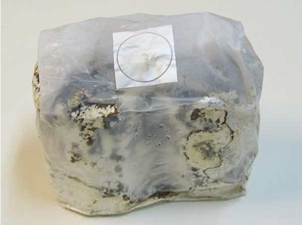 常见的顺磁性物质有哪些