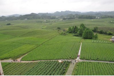 一亩等于多少平米？