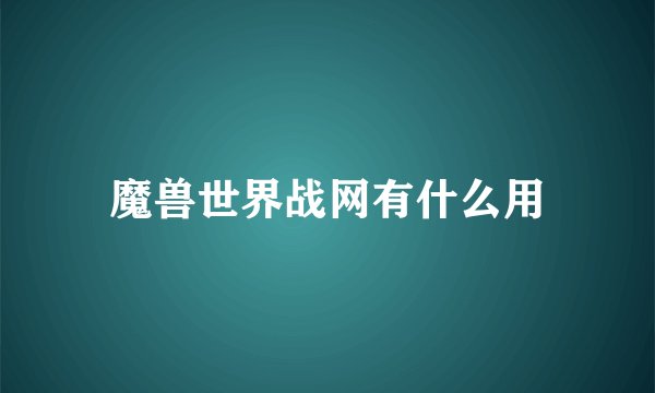 魔兽世界战网有什么用