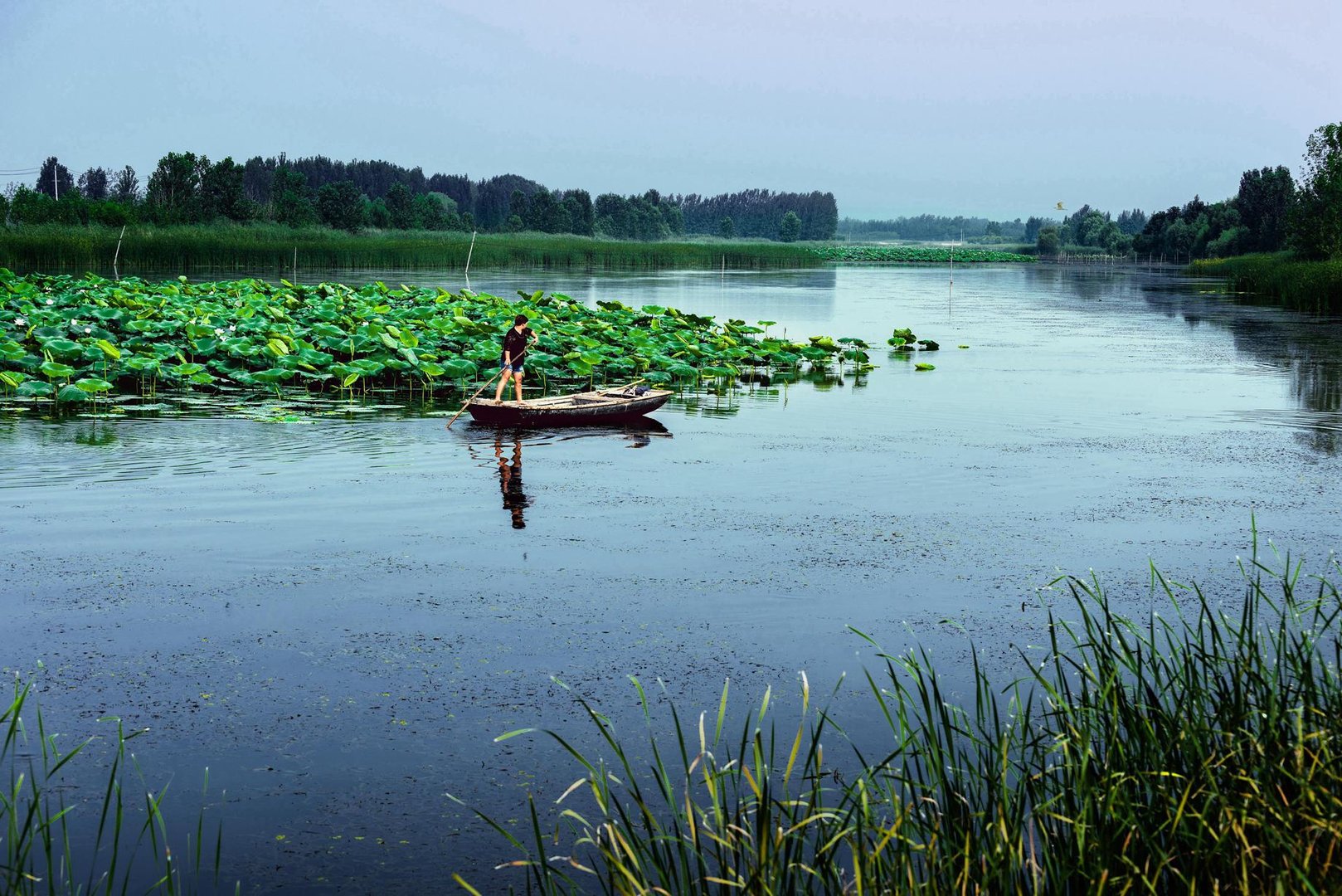 被称为“北上广曹”中，能和北上广并称的“曹”，何德何能？
