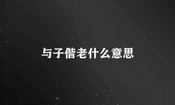 与子偕老什么意思