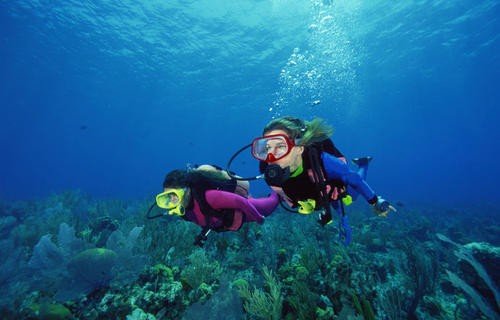 潜水的读音是什么