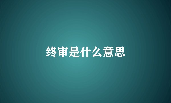 终审是什么意思