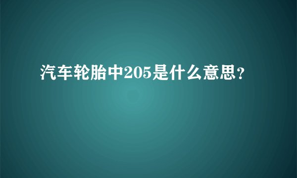 汽车轮胎中205是什么意思？