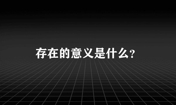 存在的意义是什么？