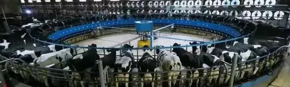 《超级工程》第三季主要讲诉什么？