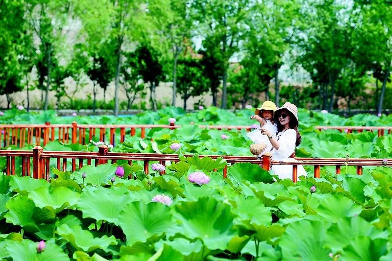 被称为“北上广曹”中，能和北上广并称的“曹”，何德何能？