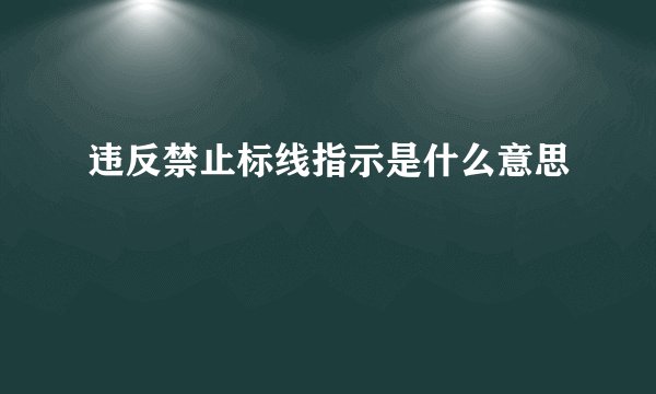 违反禁止标线指示是什么意思