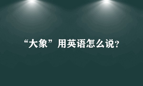 “大象”用英语怎么说？