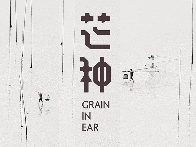 关于芒种的古诗