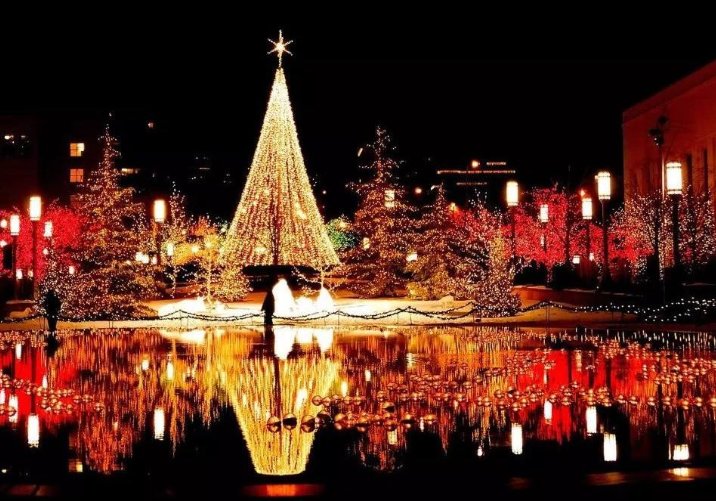 哪些国家过圣诞节