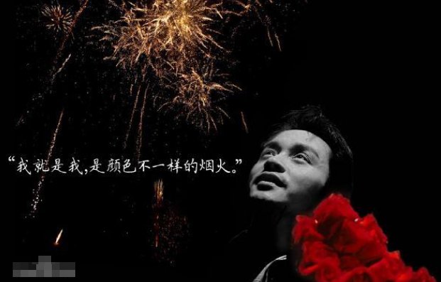 我就是我是颜色不一样的烟火.是什么意思