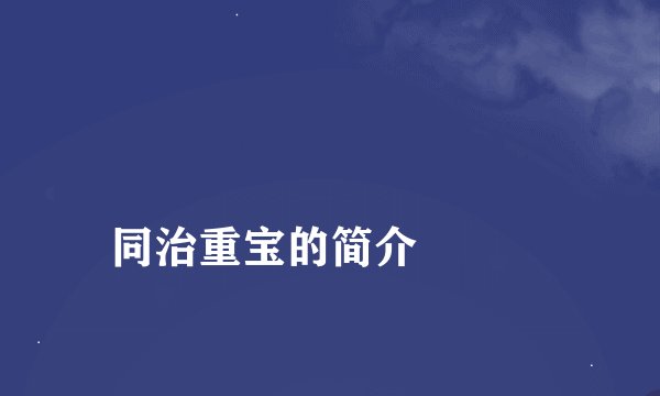 
同治重宝的简介

