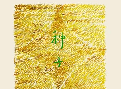 种子易烊千玺歌词