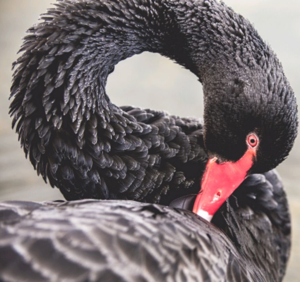 深圳离婚排号 原因究竟出在哪里了?_