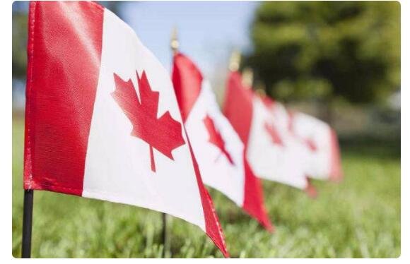 CAN是哪个国家的缩写