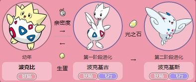 口袋妖怪白金波克比几级进化