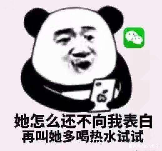 直男是什么意思