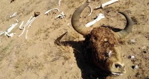 昆仑山“地狱之门”是怎么回事?