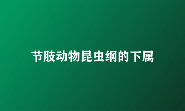 节肢动物昆虫纲的下属